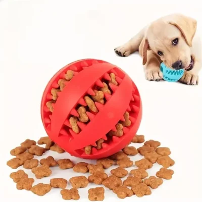 Juguete Mordillo Perros Pelota Porta Alimento Premium 6cm